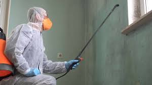  Lyons, NJ Mold Removal Pros